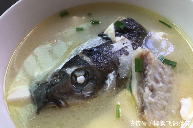 养胃|吃了半辈子的鱼头,还是这吃法最营养,养胃易消化孩子们都喜欢