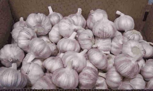 买买|这4种“大蒜”尽量别买买了也不要吃,现在知道还不晚