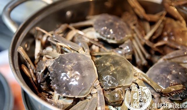 板栗|国庆节吃啥这“3菜2果1肉”正当季,美味又营养,可得多备点