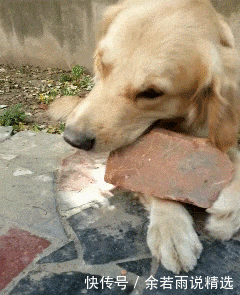 收拾|妹子,放假也不和你闺蜜出去玩,旁边桌子上是什么,也不收拾下