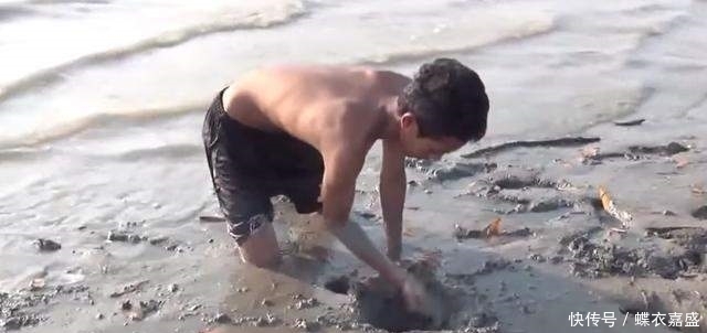 皮皮虾|海滩上发现有两个小洞 男子竟把腿伸进去 大呼: 原来它住在里面