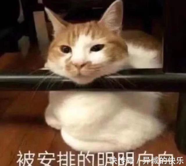 手镯|幽默笑话:大师,你这个手镯我很喜欢,多少钱,卖给我吧