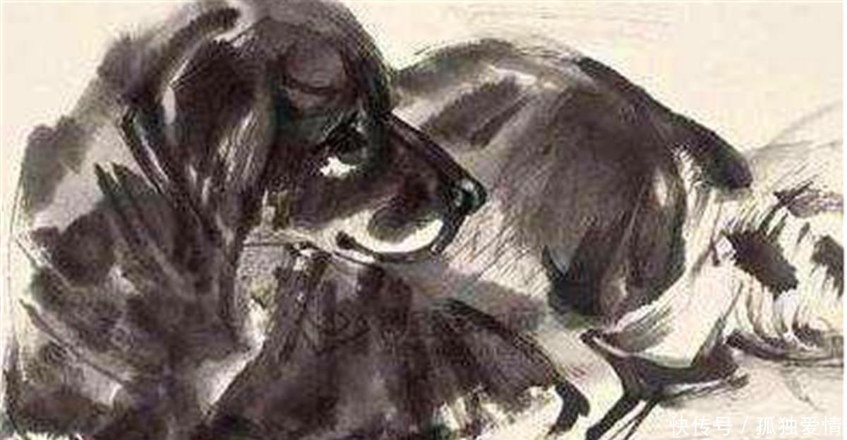 有大|民间俗语“狗肉不上桌”,为啥狗肉不能上桌背后有大讲究!