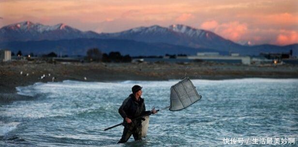 太湖|200吨太湖银鱼准备支援新西兰