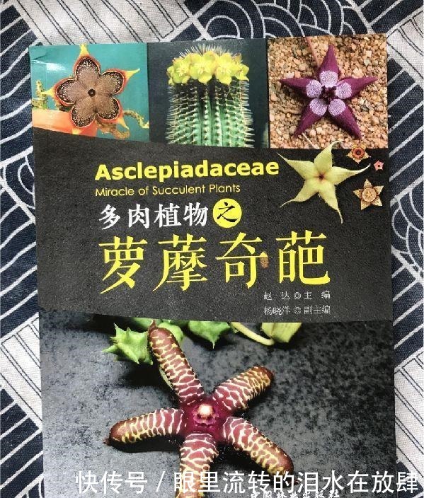 哪种|水果界的“李佳琦”,吃遍3000多种水果,哪种最好吃