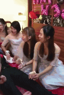 GIF|搞笑GIF：小鱼干给朕藏哪啦？这都不是朕的小鱼干！这货真是贱贱的啊！