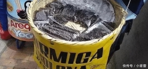 呐喊|哥伦比亚人的“肉花生”,被吃货盯上,网友隔空呐喊:来中国吧!