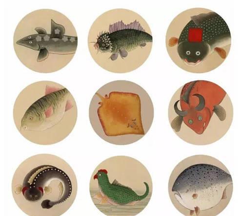 聂璜|故宫有本清朝画册,画了300种生物,唯独这条美人鱼让专家很激动