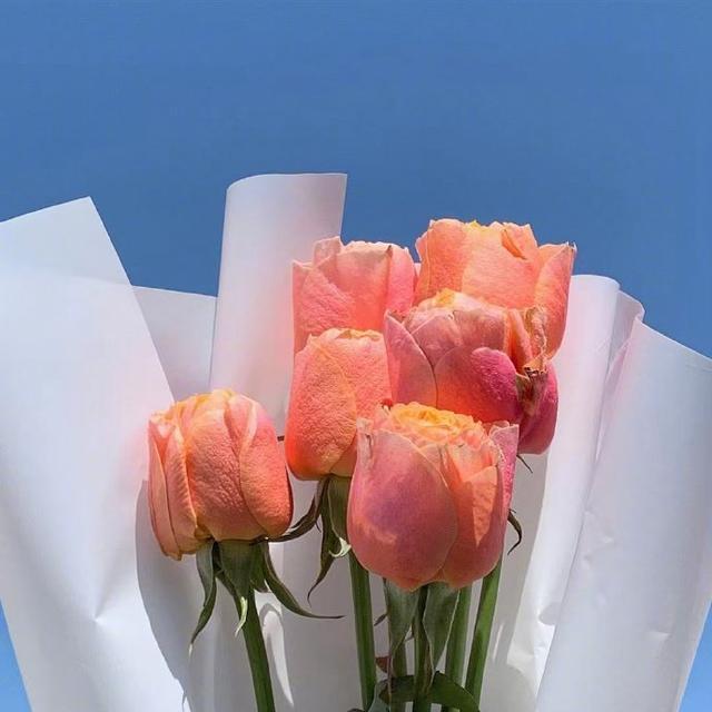  迷人|朋友圈超迷人的早安句子，干净治愈，沁人心脾！