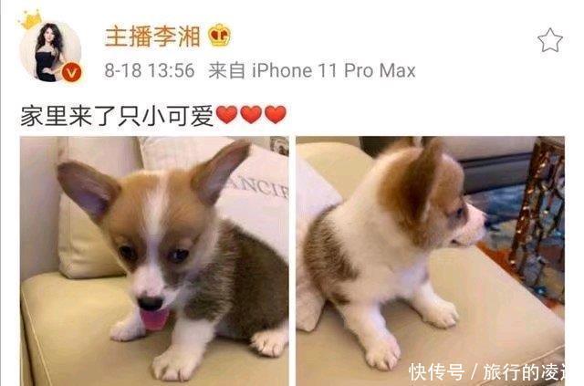 发声|李湘终于发声,发照片内涵王岳伦!