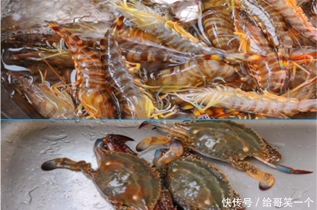 高端|大厨将梳子蟹、斑节虾两种高端食材用最朴素烹饪方式烹制出的美味