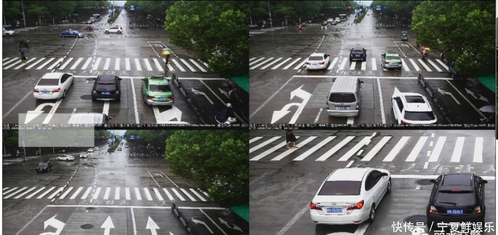 交通违法|囿山路、紫金路、人民街、中山街……这些行为被曝光