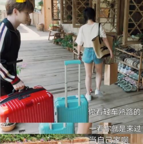 毕竟|任嘉伦上《向往》变身“怼王”,句句扎心谭松韵,气得她成表情包