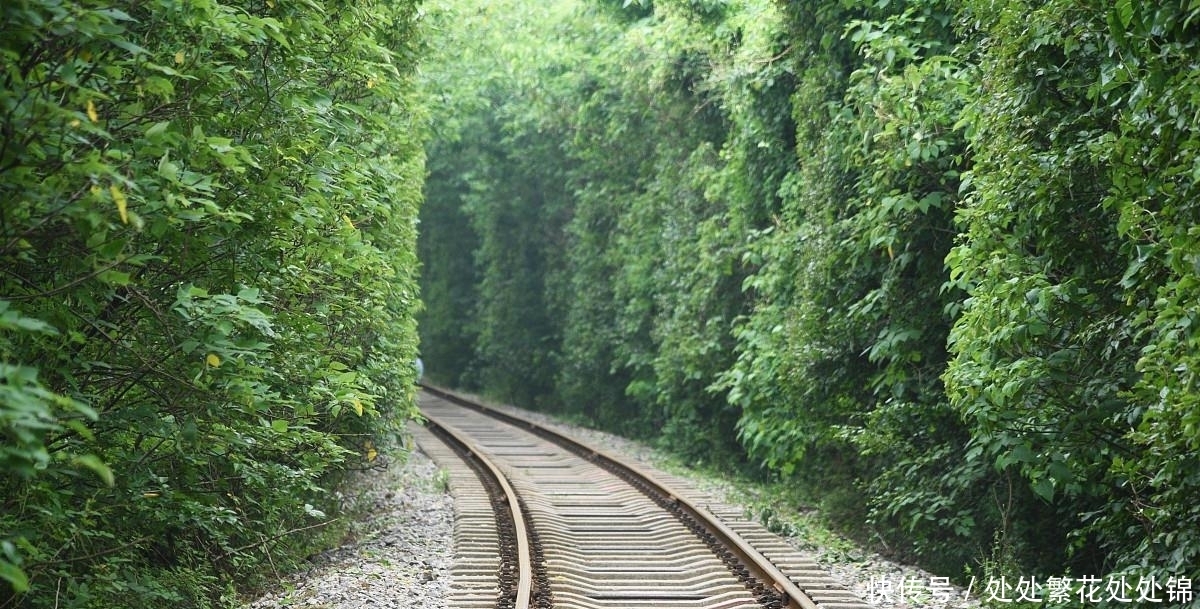 电线杆|散文:《撞上电线杆》