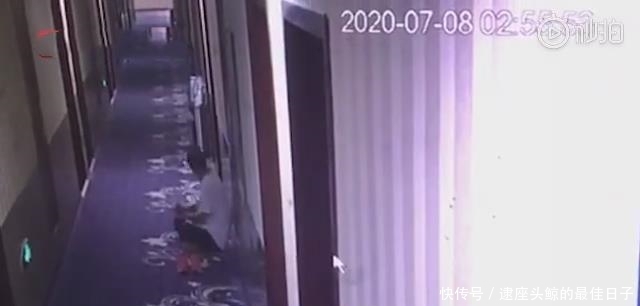  走廊|陪儿子高考，男子怕打呼噜影响孩子休息，边在走廊睡觉边为儿子祈祷