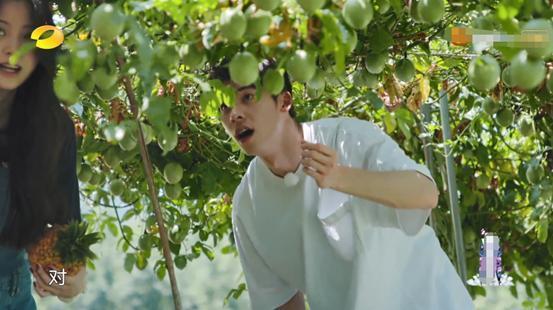  手足无措|《向往》本季最尴尬嘉宾，全程手足无措难插话，不光陪笑还没镜头