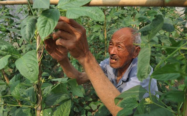 还债|79岁老人替儿还债330万，坦言人在债在，不能活的没有良心