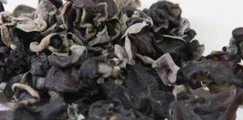 可惜|木耳和它是“天生一对”,吃一盘相当于吃3只鸡,可惜很少人知道