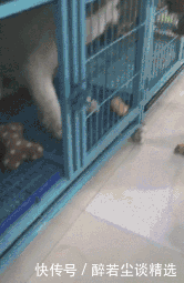 那种|妹子，你是不是哪里不舒服啊，怎么那种姿势下楼啊，瞧着真是尴尬