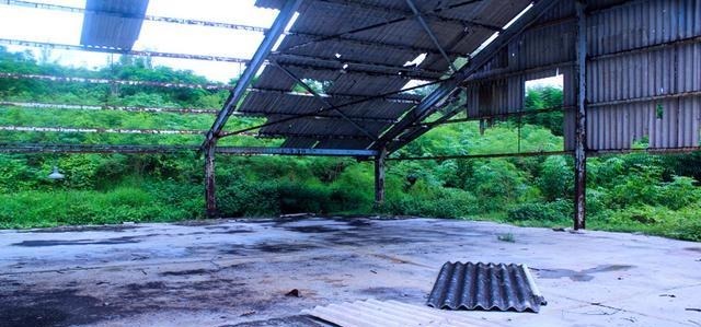  巴纳巴岛|被遗忘的民族家园被占领亲人被屠杀，流落他国想回不能回