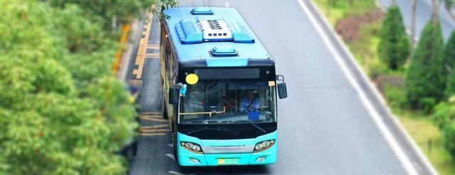  张某钢|坠湖司机报复社会，公交公司能否免责？