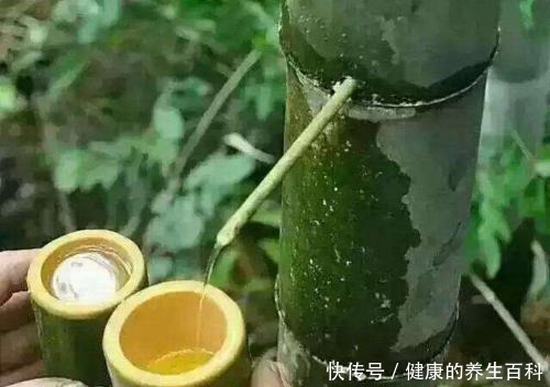 骗局|竹筒酒存在“骗局”那是你不懂制作过程，看完感觉智商不够用