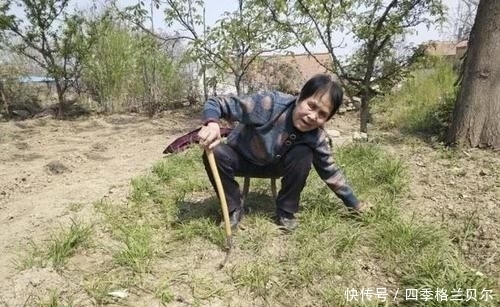 爬高|晋南农村79岁老两口,爬高上低开荒种菜,吃不完送乡亲