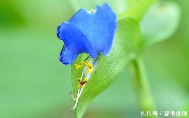 匆匆|感叹岁月匆匆,悲秋伤春自古皆然