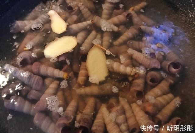  钉螺|香辣钉螺（海锥）的做法+配方，味道非常鲜美，解馋最好了