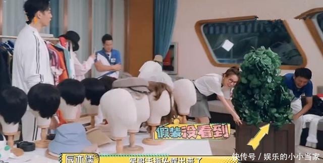 哥哥|王耀庆躺赢引热议,都这么玩的话,《元气满满的哥哥》可以弃了