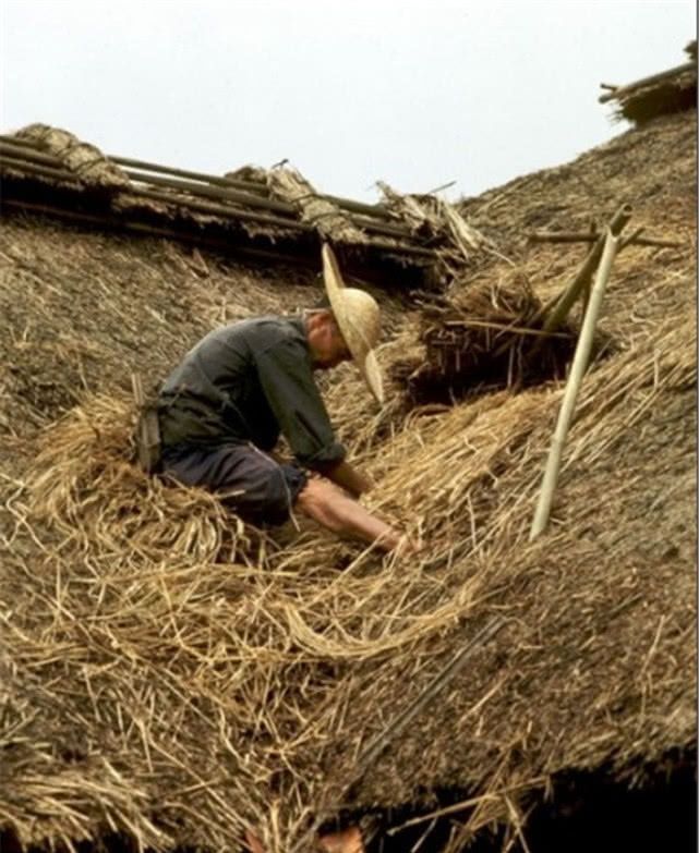  真实|80年代真实老照片图5你夏天没做过，打死我都不信