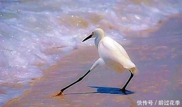 段子|搞笑图片幽默段子笑话:妹子,你的柔韧性有点厉害呀,哈哈哈