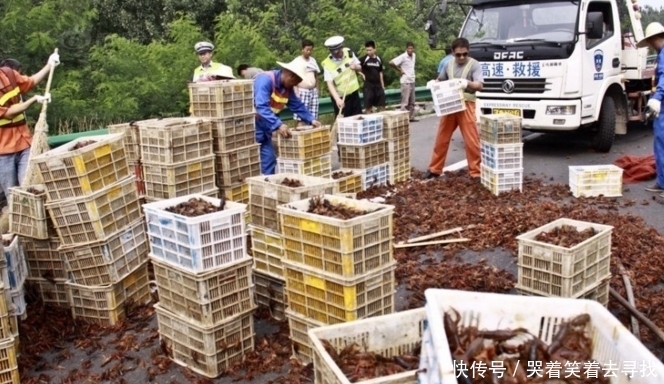  路上|高速路上出现翻车事故，当高速交警赶到时，被眼前这画面惊呆了