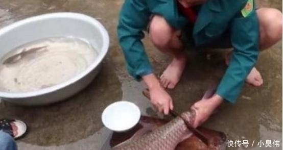 渔民|看到越南渔民的下酒菜,中国吃货表示想吐:谁都不服,就服你们