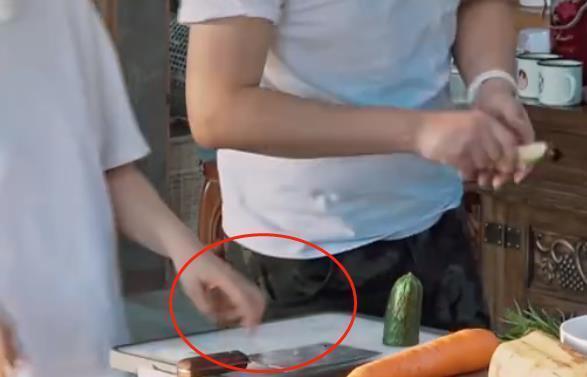 难怪|《向往》迎来最不受欢迎女嘉宾,干活慢还指指点点,难怪黄磊发火