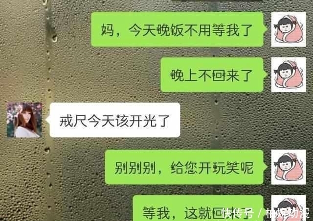 主人|主人第一次带猫坐车出去玩,它的反应哈哈哈