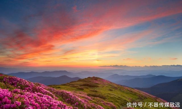 极端|在爱情里十分极端的星座,为了爱人辜负所有人,非常固执