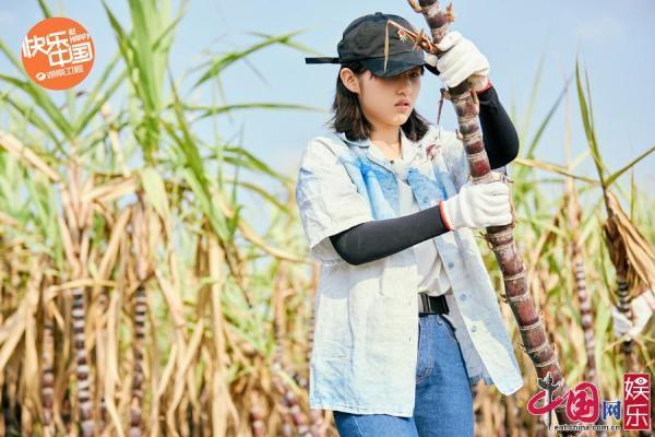  暴风雨|《向往4》版纳突降冰雹 蘑菇屋遭遇有史以来最大暴风雨