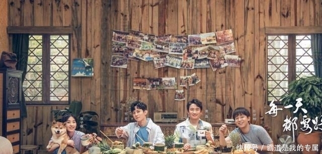 张子枫|张子枫参加《向往》录制被喷?节目组的回应太“打脸”