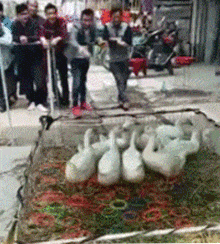 捐赠|搞笑GIF:哥们,很有钱嘛!捐赠我点吧!别玩了!