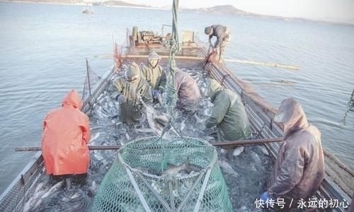 不对|鲜虾保存直接放冰箱是不对的,教你正确做法,放1个月鲜美不发黑