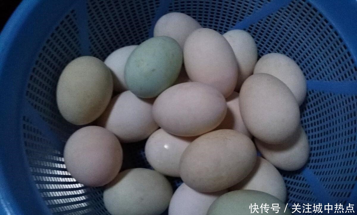出油|腌咸鸭蛋,只加盐可不行,多加4种香料,半个月就出油,还特别香