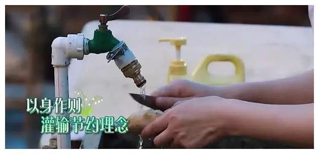 何炅|史上唯一 把何炅“逼疯”了的女嘉宾, 一块姜从天亮洗到了天黑