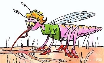 人类|跟蚊子大战数千年,人类终于要扳回一局了?