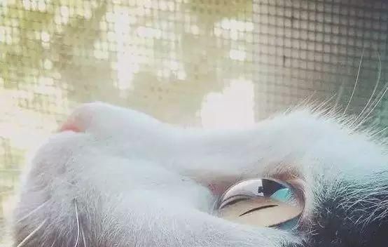 逼格|手机摄影7个高级拍摄技巧,手机一样可以拍出高逼格照片