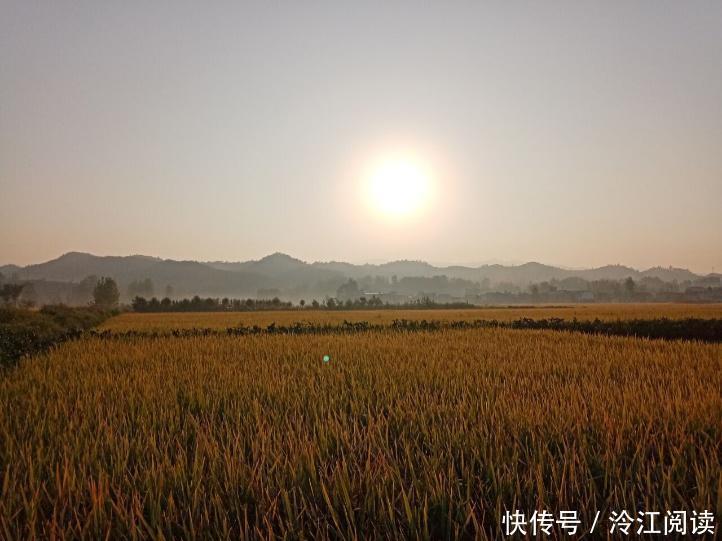 错失|好听驴鸣的王粲,因其貌不扬错失机会?怀才不遇,还是大器晚成?
