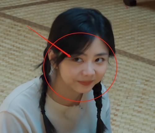 毕竟|任嘉伦上《向往》变身“怼王”,句句扎心谭松韵,气得她成表情包