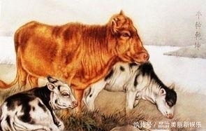 七天|大金牛:未来七天咸鱼翻身,遇贵人迎财神,偏财运势旺