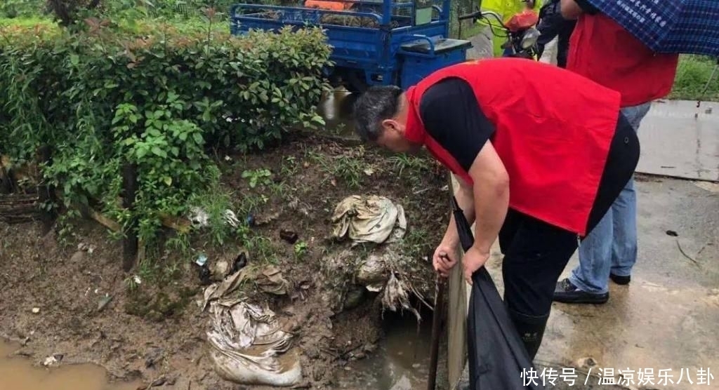  活动|每个星期四，崇明这些人一起相约“护家园”