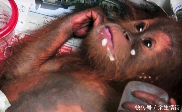  安检|男子过安检箱子里突然传出哭声，人们打开后看到的一幕令人心疼